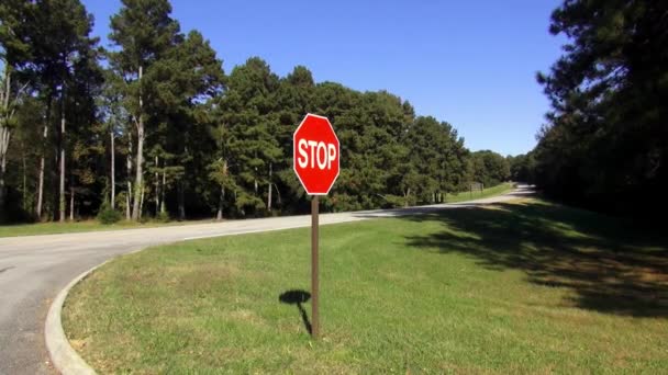 Fantastisk utsikt på Natchez Trace Parkway — Stockvideo