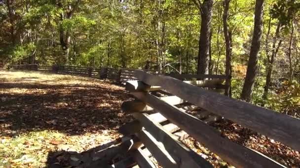 Great Nature at Natchez Trace — Stock Video