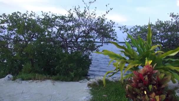 Playa de ensueño romántico en la noche como el paraíso — Vídeos de Stock