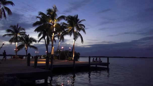 Sehr exklusive Lage am Strand auf den Florida Keys — Stockvideo