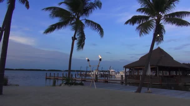 Playa de ensueño romántico en la noche como el paraíso — Vídeo de stock