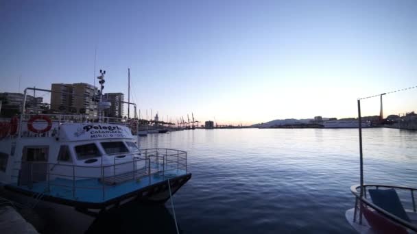 Port Malaga dans la soirée — Video