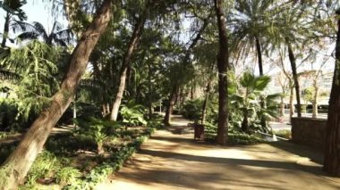 Malaga palmiye ağacı bahçeleri