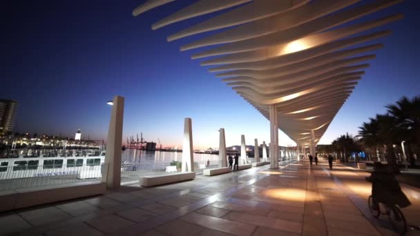 Promenade futuriste au bord de la mer à Malaga de nuit appelée El Palmeral — Video