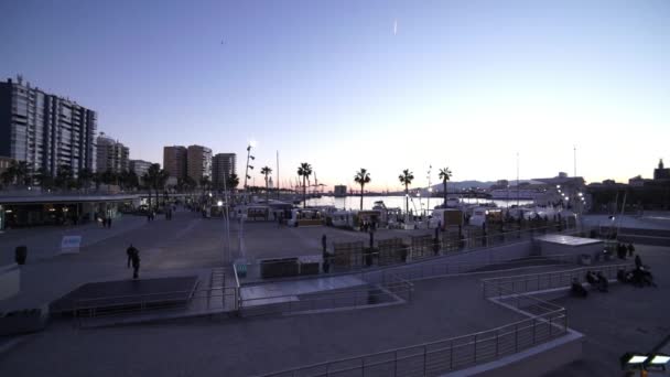 Amplio ángulo de tiro del moderno Puerto Málaga - buena toma de la noche — Vídeo de stock