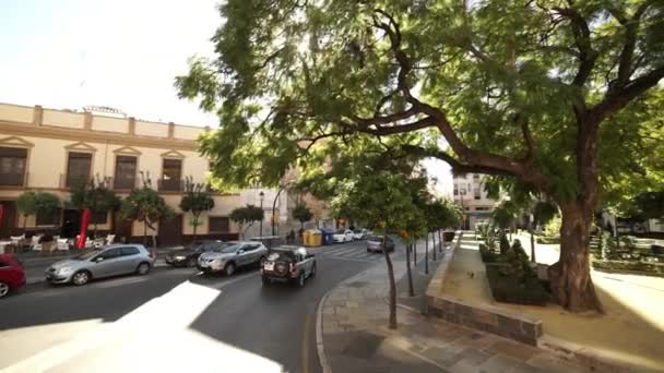 Malaga street view på en solig dag — Stockvideo