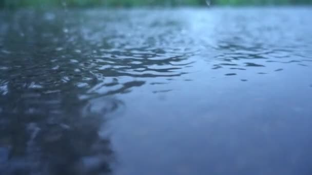 Gotas de lluvia cayendo en el suelo en cámara lenta — Vídeo de stock