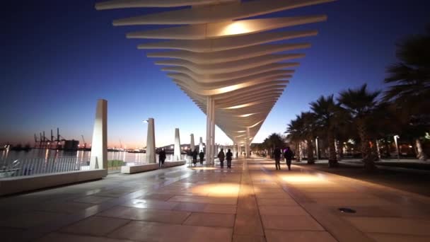 Futuristiska seaside promenad i Malaga natten kallas El Palmeral — Stockvideo