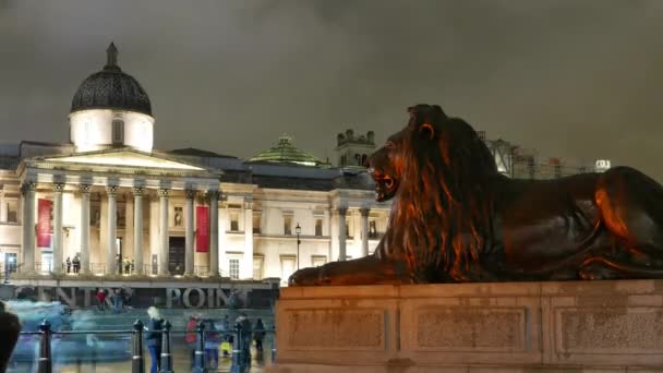 Oroszlán, a Trafalgar Square, London és a Nemzeti Galéria - éjszakai idő telik el — Stock videók