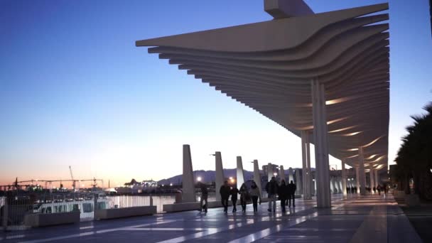 Moderno paseo por la playa de Málaga llamado El Palmeral de las sorpresas — Vídeos de Stock