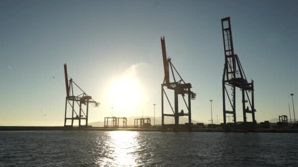 Tranorna på Port Malaga i hamnområdet — Stockvideo