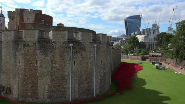 Bela vista da Torre de Londres em um dia ensolarado — Vídeo de Stock