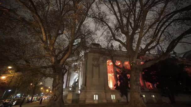 Ağaçlar Grand Palais Paris önünde geniş açı çekim — Stok video