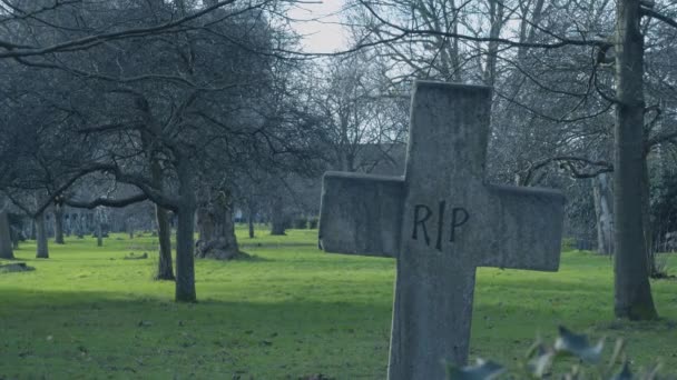 Pierre tombale du PIR au cimetière — Video