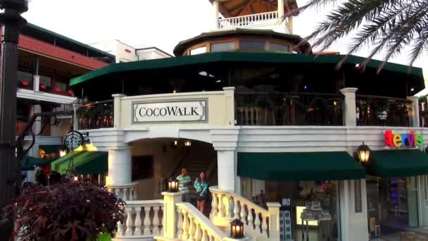 Cocowalk Coconut Grove — Stockvideo