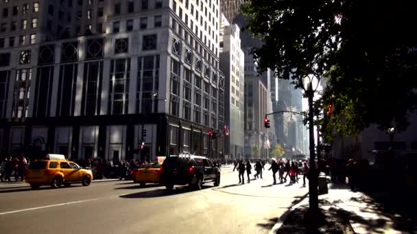 Nova Iorque Quinta Avenida — Vídeo de Stock