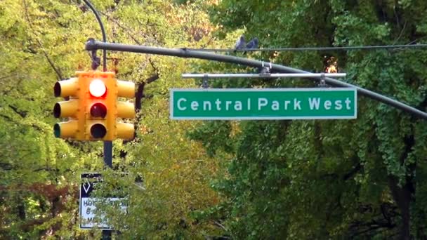 Ulica znak Central Park West — Wideo stockowe