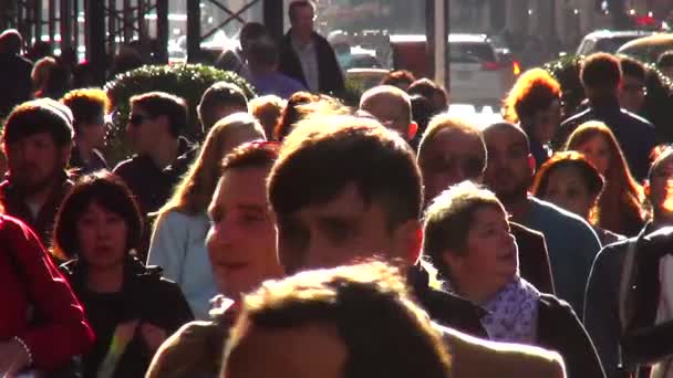 Multidão de pessoas caminhando pela Quinta Avenida — Vídeo de Stock