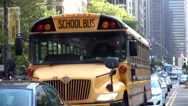 Okul otobüsü - Chicago, Illinois/ABD — Stok video