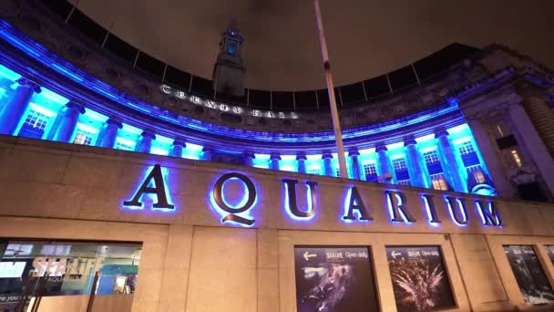 Лондонский аквариум ночью - Лондон, Англия — стоковое видео