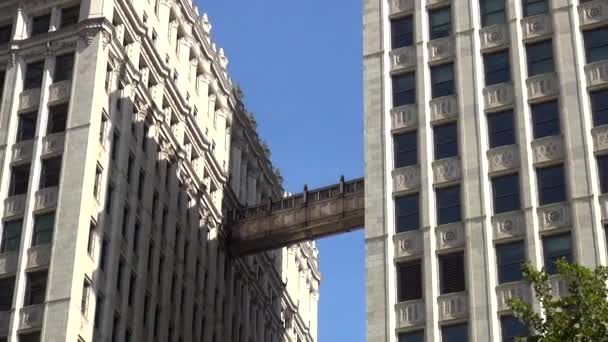 Wrigleys будівля Чикаго - Чикаго, Іллінойс/США — стокове відео