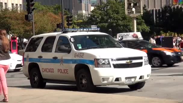 Полиция Чикаго - CHICAGO, ILLINOIS / USA — стоковое видео