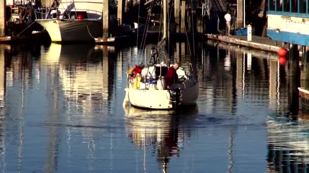 小型漁船モントレー カリフォルニア州ロサンゼルスで — ストック動画