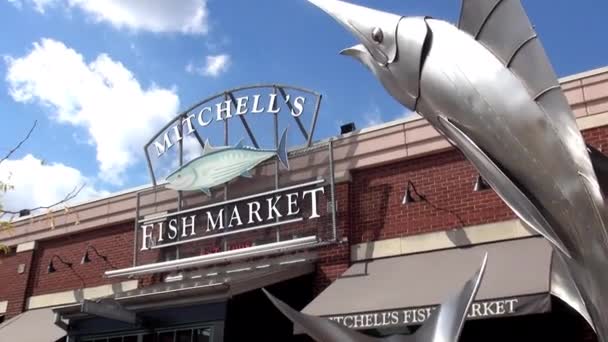뉴 포트 부두-미국 뉴포트, 켄터키에 의해 생선 시장 — 비디오