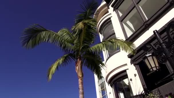 Rodeo Drive v Beverly Hills, Los Angeles Los Angeles — Stock video