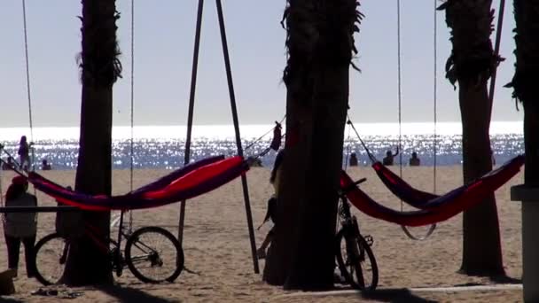 ロサンゼルスとロサンゼルス サンタモニカーのビーチ — ストック動画