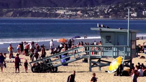 Santa Monica Beach LOS ANGELES — Stok Video