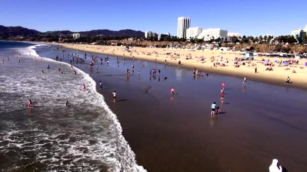 Santa Monica Beach Los Angeles — Stockvideo