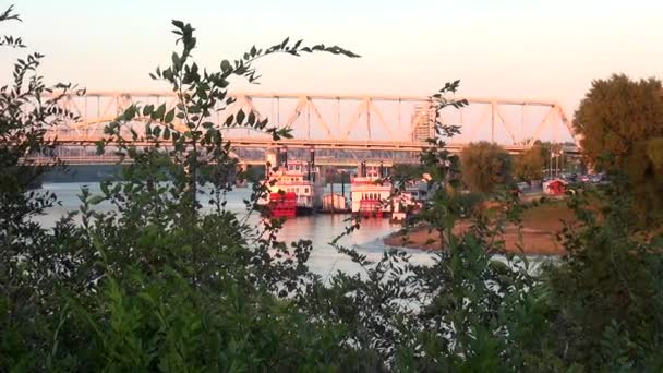 Paddel rullasteameren på Ohio River - Cincinnati, Ohio Usa — Stockvideo