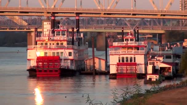黄金の夕日 - シンシナティ、オハイオ州アメリカ合衆国にオハイオ川にパドル車輪の汽船 — ストック動画