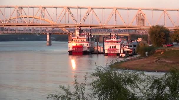 Paddel rullasteameren på Ohio River - Cincinnati, Ohio Usa — Stockvideo