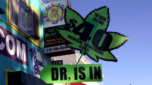 Dr. está na praia de Veneza LOS ANGELES — Vídeo de Stock