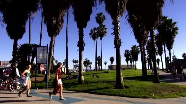 Los Angeles-i Venice Beach oceanwalk — Stock videók