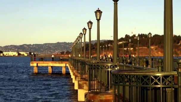 Όμορφη προβλήτα στο San Francisco - San Francisco — Αρχείο Βίντεο