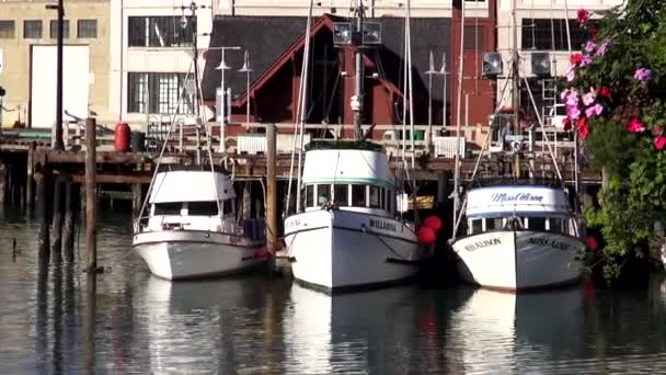 Små båtar på San Francisco pier - San Francisco — Stockvideo