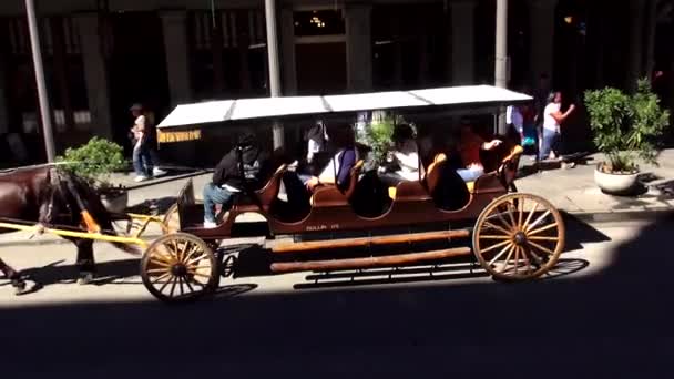 Hevosen vetämä ohjaamo Decatur Streetillä NEW ORLEANS, LOUISIANA Yhdysvallat — kuvapankkivideo