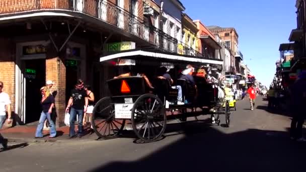 New Orleans French Quarter taxi trainato da cavalli NEW ORLEANS, LOUISIANA USA — Video Stock