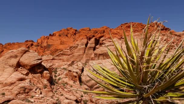 Taman Nasional Lembah Api, Nevada  . — Stok Video