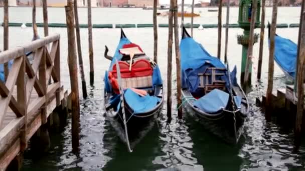 Venetianska gondoler - Venedig, Venezia — Stockvideo