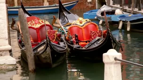 Gôndolas - Veneza, Veneza — Vídeo de Stock