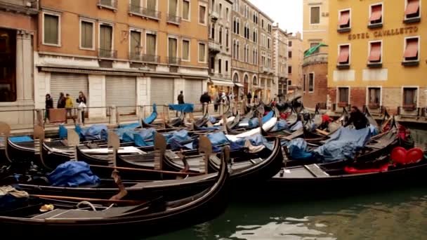 Gondolas in Venice, Venezia — Stock Video