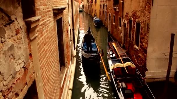 Gondol på kanal - Venedig, Venezia — Stockvideo