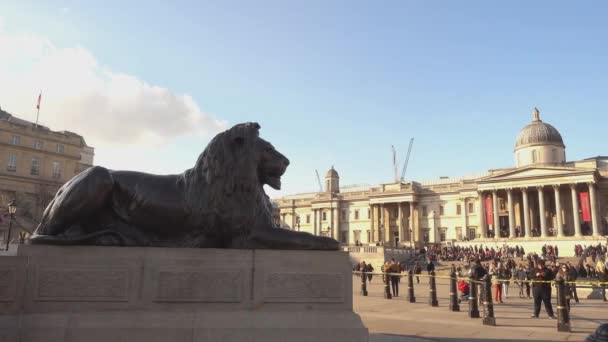 午後 - イギリスのロンドンの有名なトラファルガー スクエア ロンドン — ストック動画