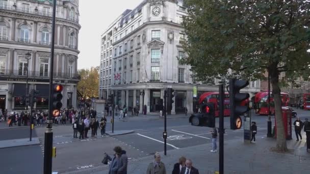 Trafalgar Meydanı Sokak köşesi - Londra, İngiltere — Stok video