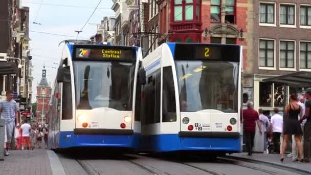 Trams in Amsterdam — Stockvideo