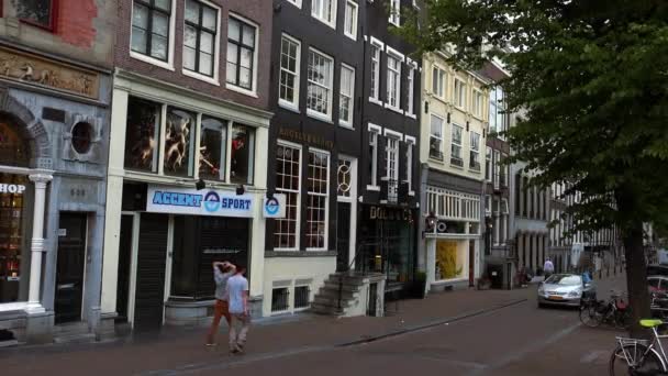 Mening van de straat van Amsterdam — Stockvideo